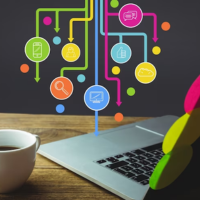 user management